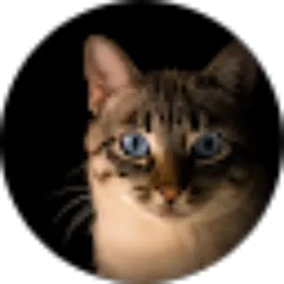 Review From Martion Alveiro