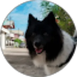 Review From endient felicia