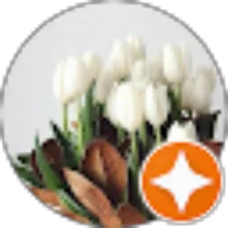 Review From Yusrianti Purwandari