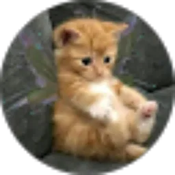 Review From Yoshzuu cs