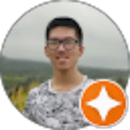 Review From Vincent Senly