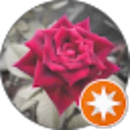 Review From Obj Temp