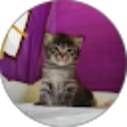 Review From Ashfa Afkarina