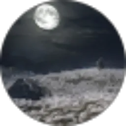 Review From Maulana R