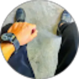 Review From Riky Rusandi Ismail