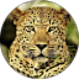 Review From Siti Mirza Hardiani