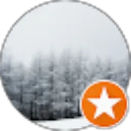 Review From Dominicus Danardono