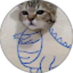 Review From Indah Sundari