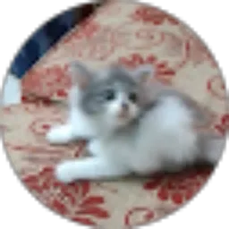 Review From syarifah sendra