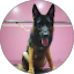 Review From Surya Prabowo