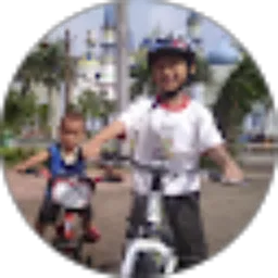 Review From Dwi Wahyu Setiawan