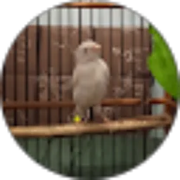 Review From Doni Panjaitan