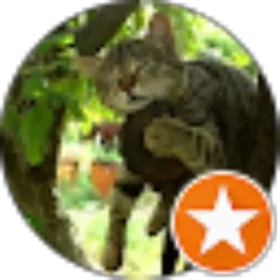 Review From ALI SOFIYAN