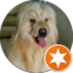 Review From Hendra Irawan