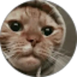 Review From Nana Nesh