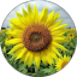 Review From Muezza & Molly Fam