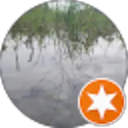 Review From Rafi ahmad afrizal