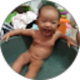 Review From Schonia Nasution