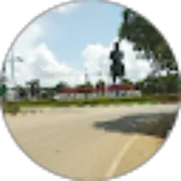 Review From Harianto Harianto