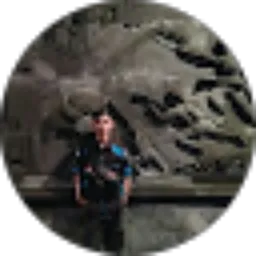 Review From Dimas Aldi