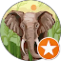 Review From dandi k supriatna