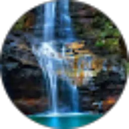 Review From Max Ueky