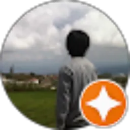 Review From Budi Prasetya