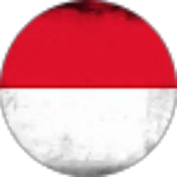 Review From Kang Boni