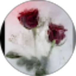 Review From Sintia Linn