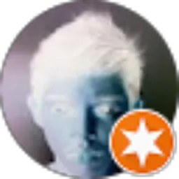 Review From Julius Khoesoema