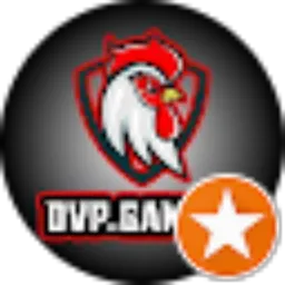 Review From Dvp Gaming