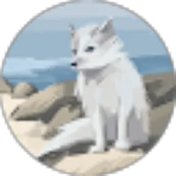 Review From Salsa Bill