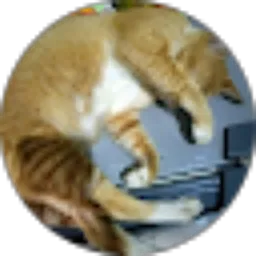 Review From imam Sulaiman