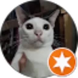 Review From Dino Fauzan