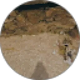 Review From Liza Nuura Utami