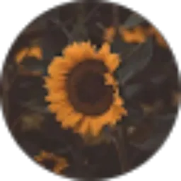 Review From Anindra Pratama United