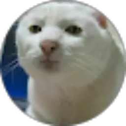 Review From Louis Fernando