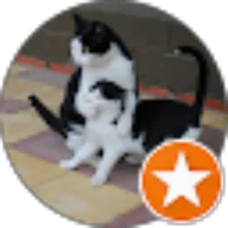 Review From Tiara Nindhianita