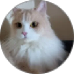 Review From Anna Hermin