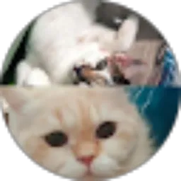 Review From Pablo & Jill