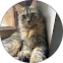 Review From tazamj@gmail.com Taza