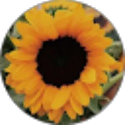 Review From Wellastry Yamin