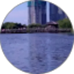 Review From Fx Wibowo296