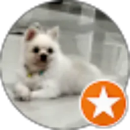 Review From Mega Ongko