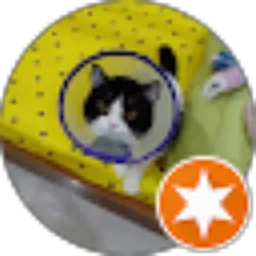 Review From Soraya Binti Wiryosudarmo