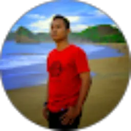 Review From Achmad Syamsuddin