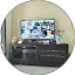 Review From Dyan Arni