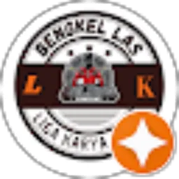 Review From Suherman