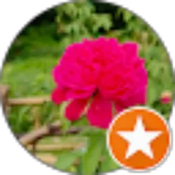 Review From Darto Tanggu