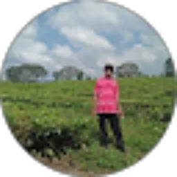 Review From Mr Munthe